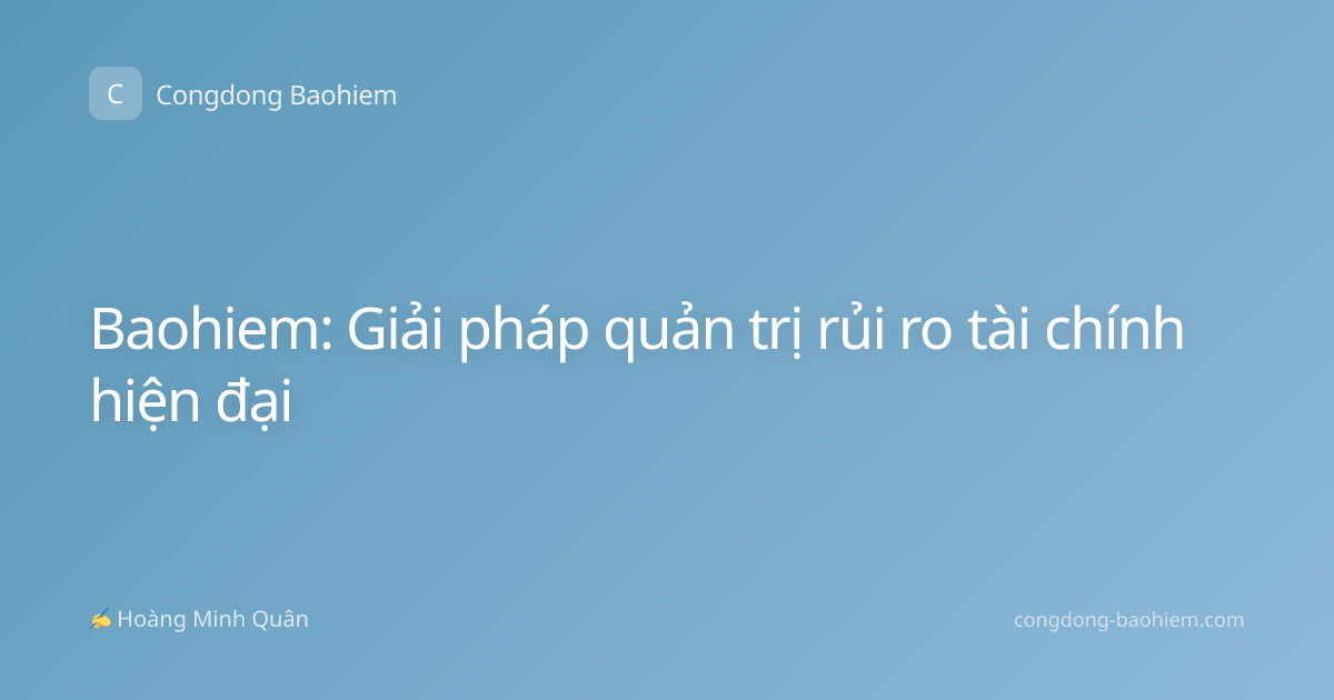 Baohiem: Giải pháp quản trị rủi ro tài chính hiện đại